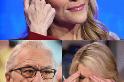 UNBELIEVABLE: The Entire Studio Froze as Megyn Kelly to Call Robert De Niro a ‘Washed-Up Name’ — And with Just 5 Words, He Left Robert De Niro Speechless on Live Broadcast!