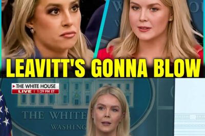 KAROLINE LEAVITT ERUPTS WHEN REPORTER REFUSES TO BACK DOWN — AND IT’S EVERYTHING HER OPPONENTS WANTED TO SEE