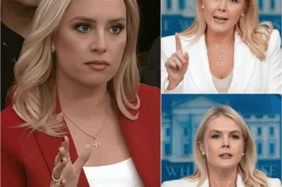WHEN EVEN JACKIE HEINRICH FROM FOX NEWS COULDN’T TOLERATE THE BARE-FACED LIES ANY LONGER — SHE PUSHED BACK, AND KAROLINE LEAVITT LOST CONTROL ON LIVE TELEVISION